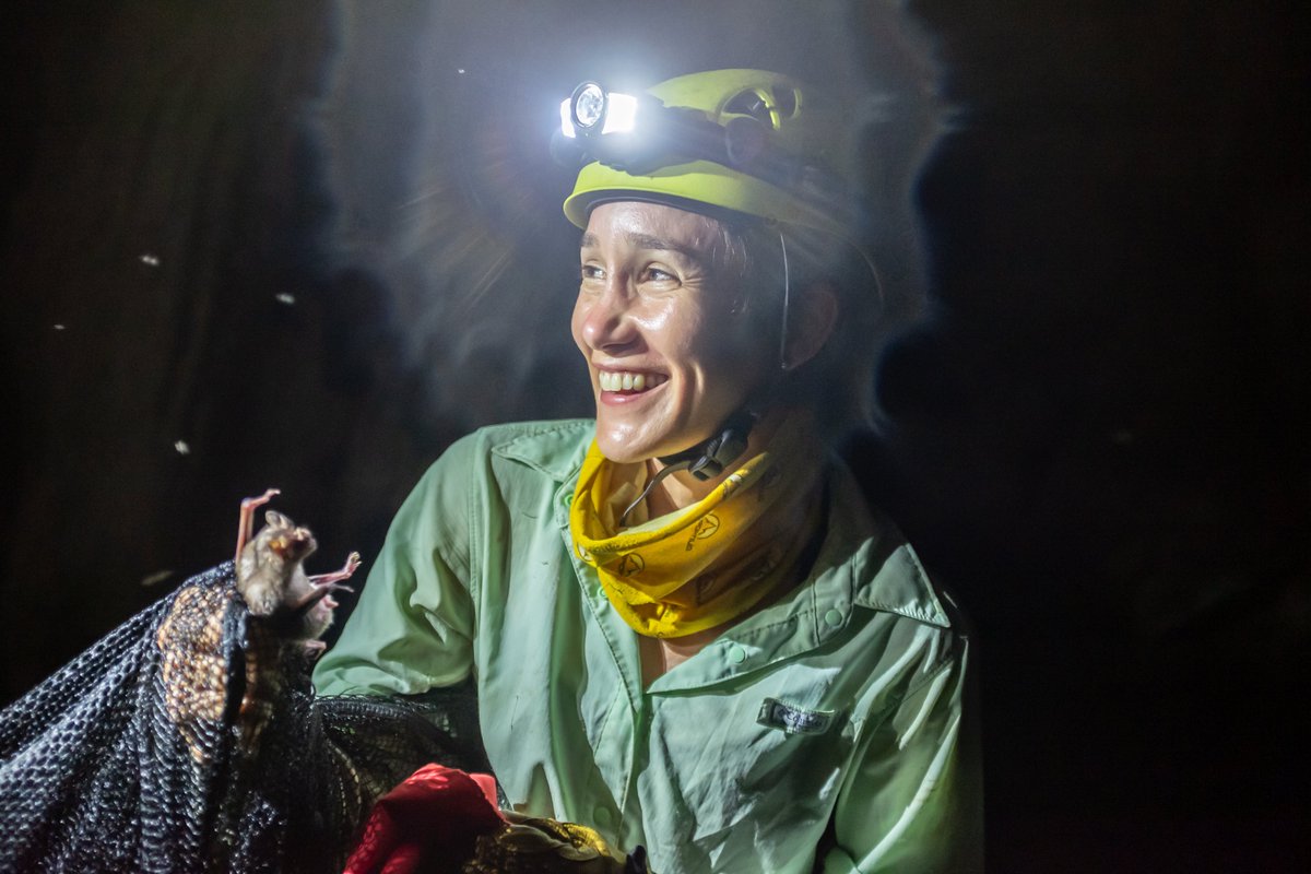 The Explorers Club tweet media