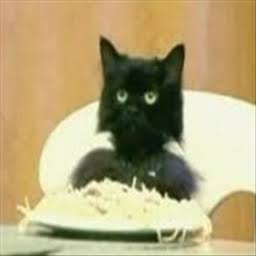 Sahar_A_Writes's tweet photo. @GY18164253 Oh my goodness, I know that cat. That's... Spaghetti Cat!! So that's where he's been hiding all these years... 🤯🐱🍝🤩 @spaghetti_cat #SpaghettiCat https://t.co/JcoqTN9qFh
