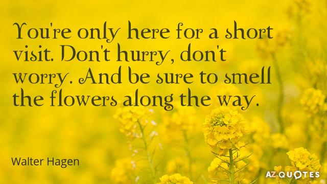 Top tip #3 – Gardening (<a href="/pinkgins/">Gillian Fawcett</a> )
“We only have a small backyard, but I have planted daffodils and hyacinths in a couple of tubs and I find it soothing to look at the pretty flowers and watch them grow” #MentalHealthAwarenessWeek #KindnessMatters