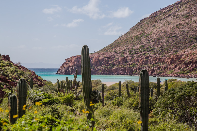 divergenttravel's tweet photo. Welcome to Espiritu Santo Island National Park

We spent 4 days camping and kayaking on Isla Espiritu Santo in Baja Mexico and Baja’s Espiritu Santo island is a magical place for nature lovers.

@BOABajaOutdoor 

#Mexico #Adventure #Baja #outdoors #Travel #DivergentTravel https://t.co/dOdozLozsK