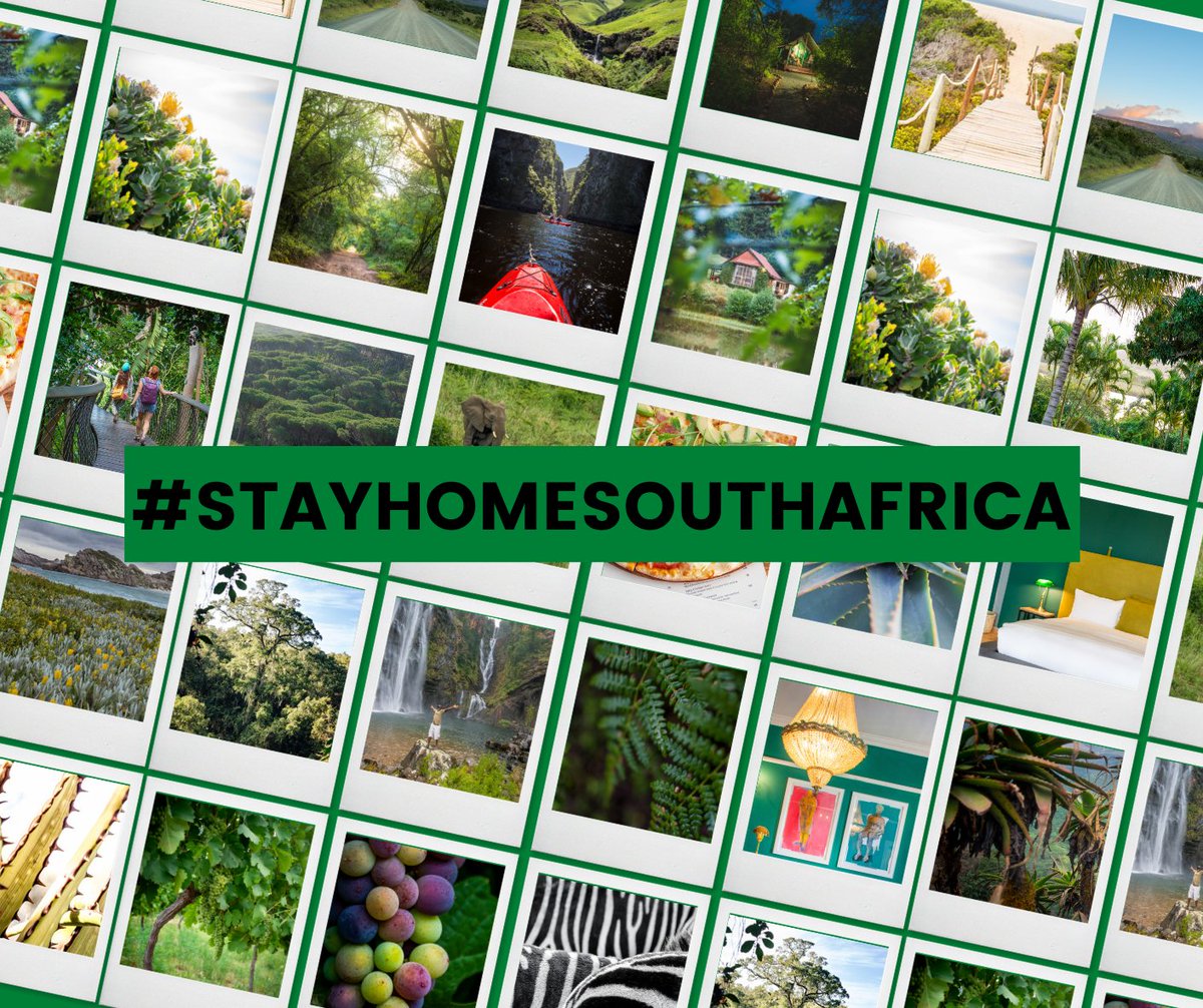 Melanie_vanZyl's tweet photo. Use #StayHomeSouthAfrica to share good news stories about our beautiful country. There is life after lockdown. There are so many reasons to stay at home - let’s tell everyone! 

https://t.co/qFpymWcAPD https://t.co/2E58eJRRZ5