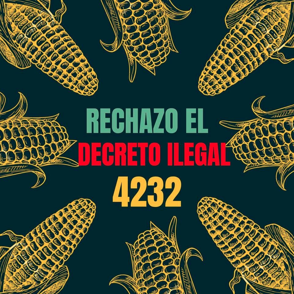 GuardiaHenrry's tweet image. #NoTransgénicosEnBolivia