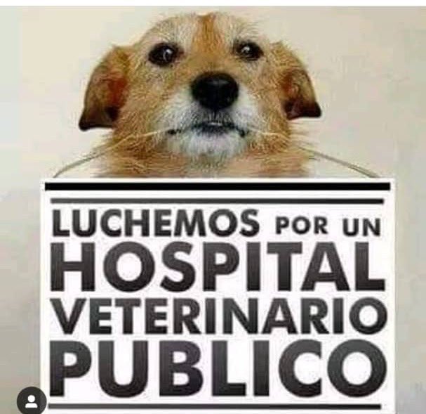 nicovillegas8's tweet photo. !! .. QUIEN APOYA https://t.co/Y6YuoEMG2h