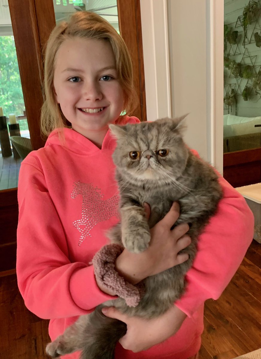 MsRosie_library's tweet photo. It’s P for pet day in our spirit week! Look at these cute kids with their cute pets. 
#spiritweek #petday #psekidselearning #bcsdelearning #ironhorsestrong https://t.co/CXeqOtJKG2