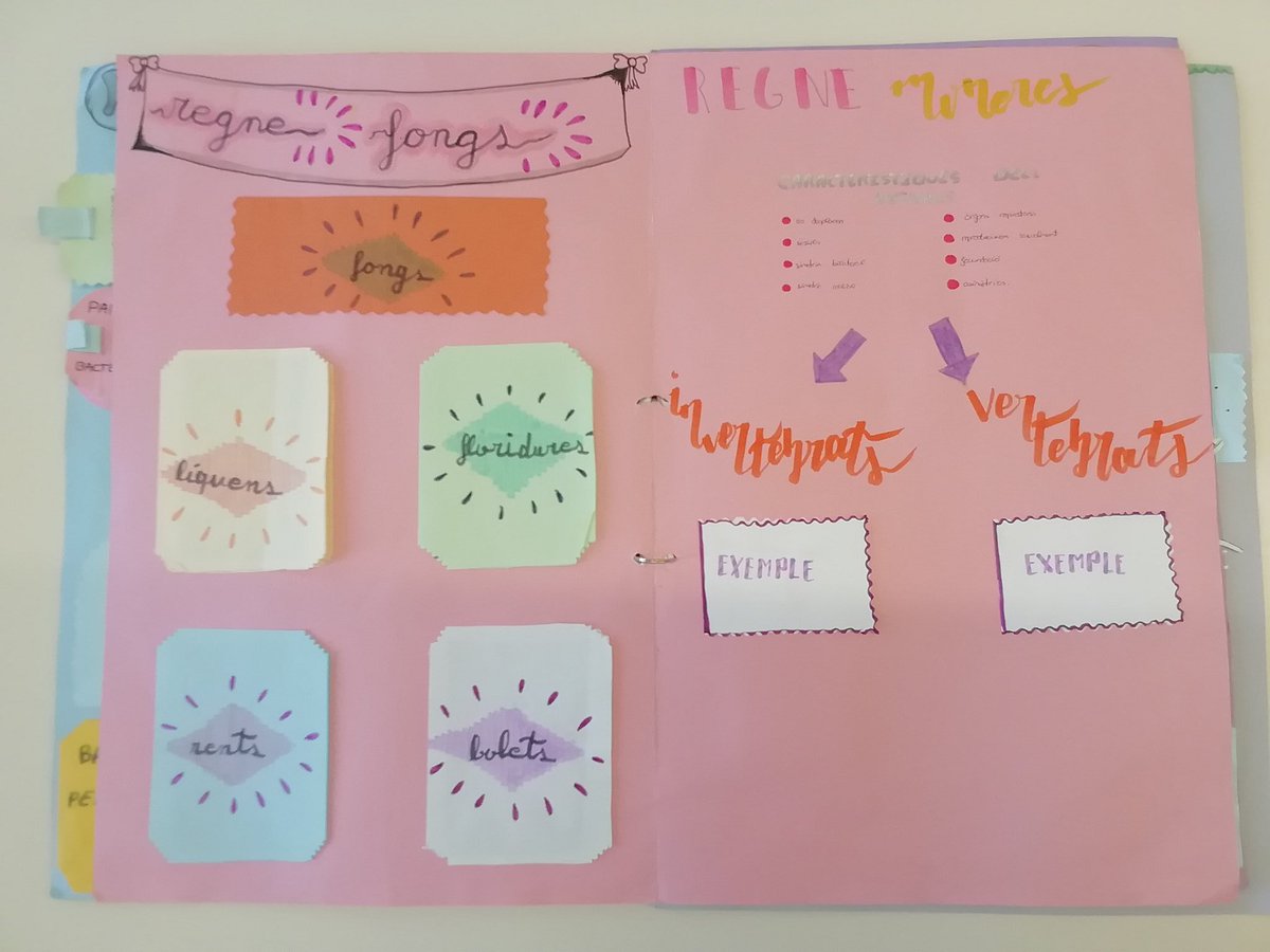 MariolaScience's tweet image. LAPBOOK 5 REINOS (1ESO)
Proyecto individual dirigido de dos evaluaciones que muestra la creatividad a la hora de seleccionar y presentar los contenidos de las unidades del bloque "La biodiversidad en el planeta Tierra" (muestro parte del trabajo) #profesBioGeo