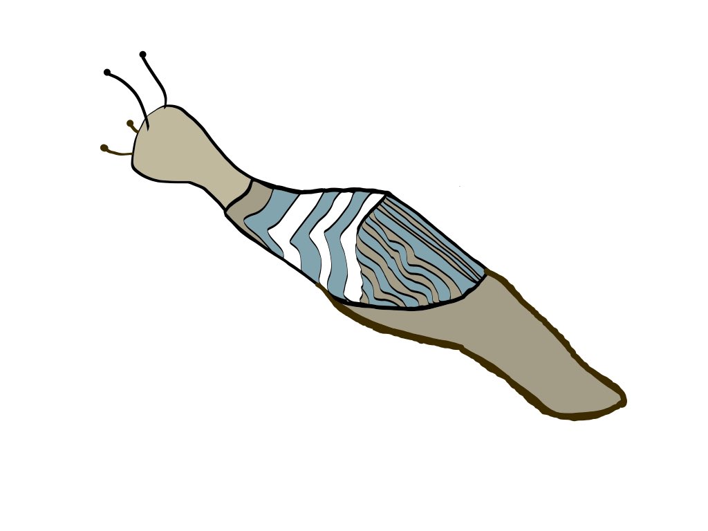 Langzaam trekt hij (of zij?) voorbij. #slakken in de #tuin