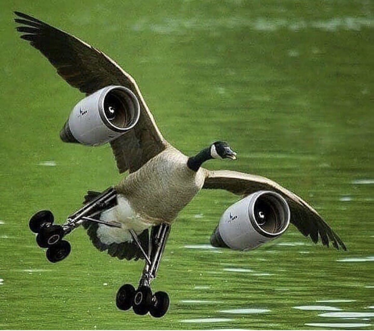 Смешные самолеты