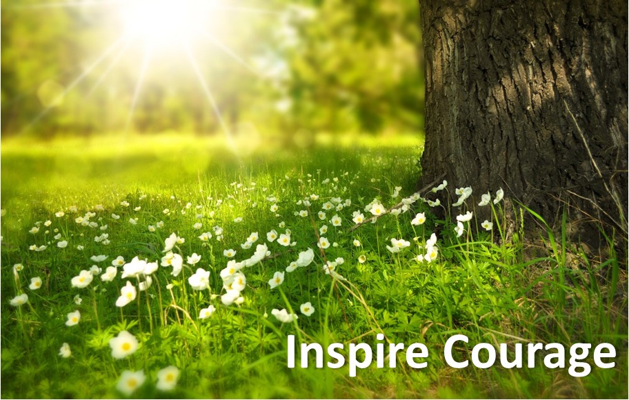 DavidsCourage's tweet photo. David’s Courage Inspire Courage Day 2020 Impacted by COVID-19. 

Read the press release 👉https://t.co/48YIJJIiAh

Visit us at https://t.co/t5fOXlsiuV
#InspireCourage https://t.co/1QjuqZmobm