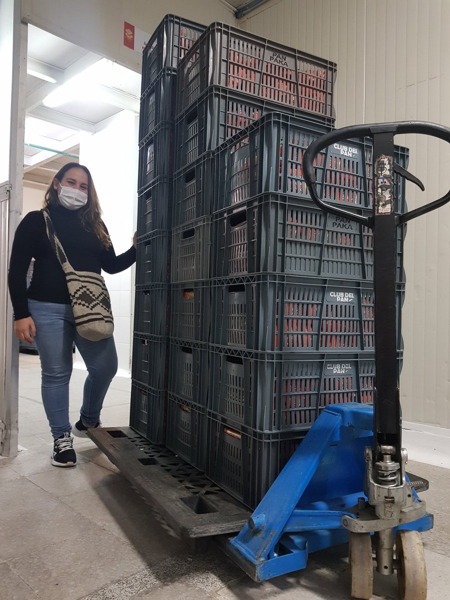 SantiagoMoraRe1's tweet photo. Donamos oportunidades!#PanSemilla

Lilian y su esposo tienen una hermosa niña de 2 años. Vivían de vender ropa. Sus ahorros se acabaron.

Donamos una oportunidad de negocio entregándoles 200 panes, que ya empezaron a vender! Nuestra sonrisa es enorme!

@LilianLombo @Susanadeleonc https://t.co/Dz39Kj2Lg8