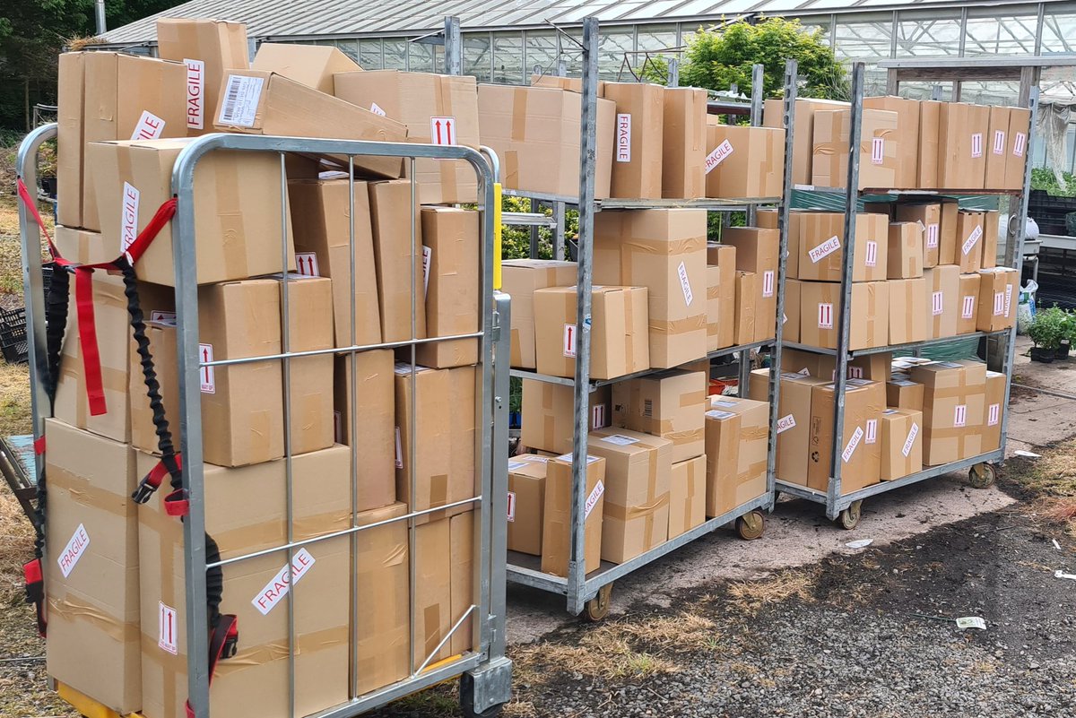 Middleton Nurseries tweet media