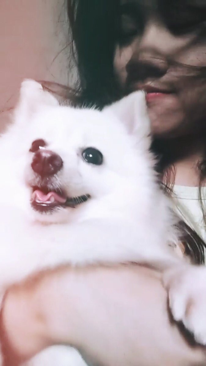 regaldnwm's tweet photo. 𝐲𝐨𝐮𝐫 𝐝𝐨𝐠 𝐥𝐨𝐯𝐞𝐬 𝐲𝐨𝐮 🐶🧡
#OneItsSelcaDay #OISD
@x1members @x1official101 https://t.co/KCHXfLiZrq