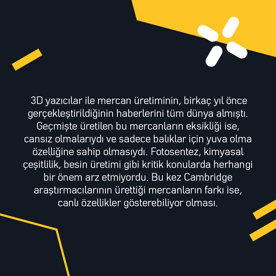 Arıkovanı tweet media