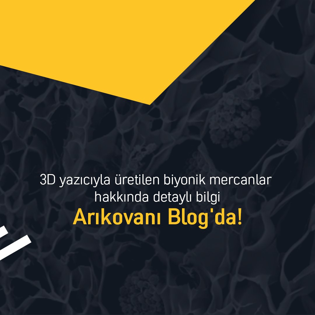 "3D Yazıcıyla Biyonik Mercanlar Üretildi" yazımız Arıkovanı Blog'da! #CanlıMercanlar #3DPrinter 👉 arikovani.com/blog/3d-yazici…