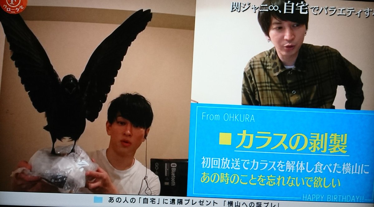 笑)カラスの剥製(笑) 横山くん昔鳥嫌いだったのに物怖じしないように