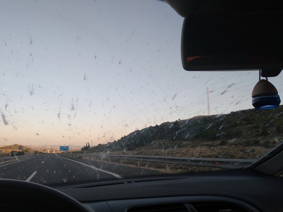 MariaChub's tweet photo. Voy a doscientos mosquitos por hora. https://t.co/Dij6YmW2ZG