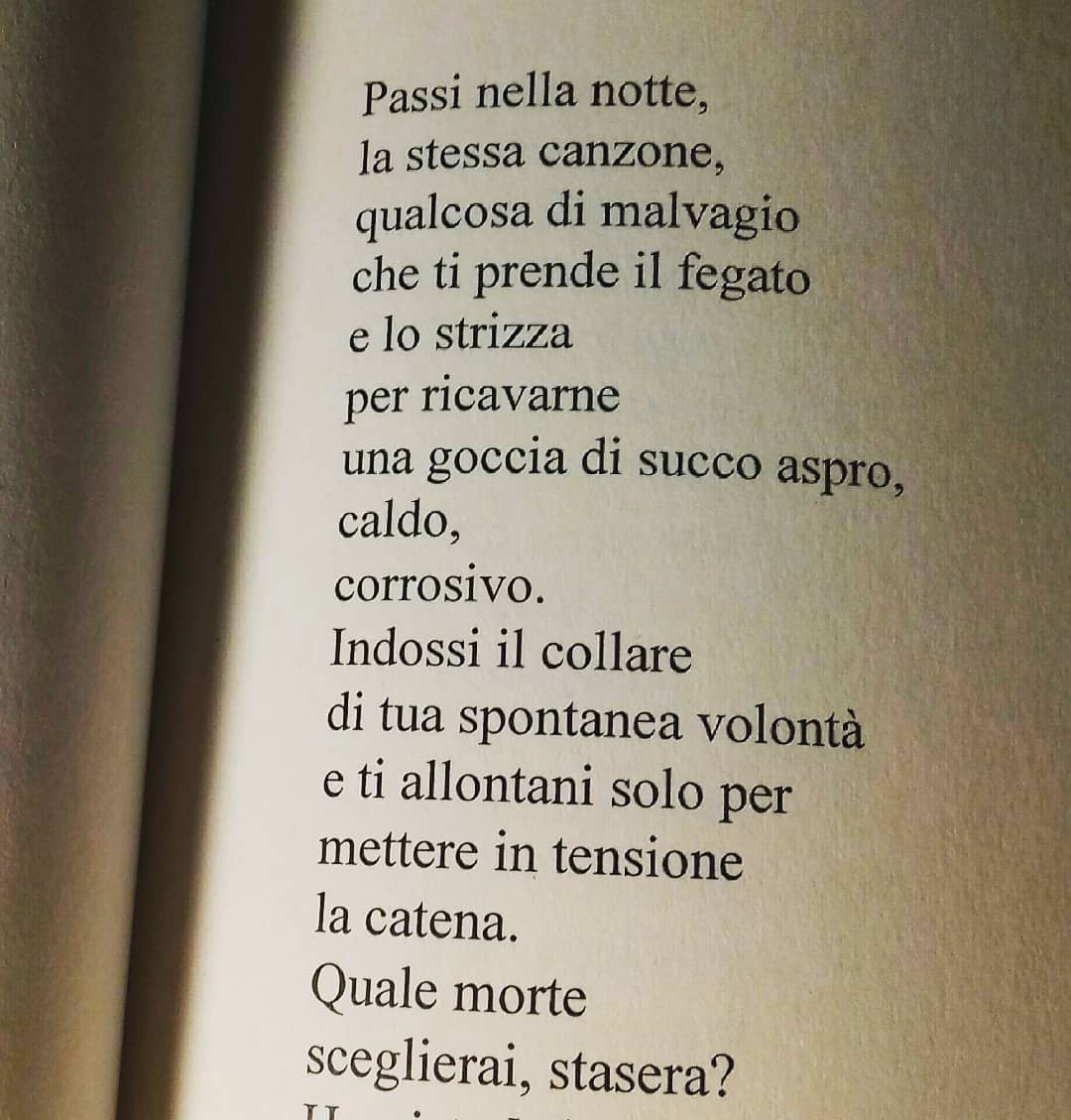 Dmciosi's tweet photo. "Gli sconfitti mordono con misericordia" - 2019 - CTL Editore 
#diegococco #bookworm #poetry  #lettura #libri #poesia #leggerechepassione #propaganda #libridaleggere #book #booklovers #leggo #leggendo #poesiaitaliana #bookaddict #nuovapoesiaitaliana #caseeditrici #blomming #io #i https://t.co/2TQIW3F6Np