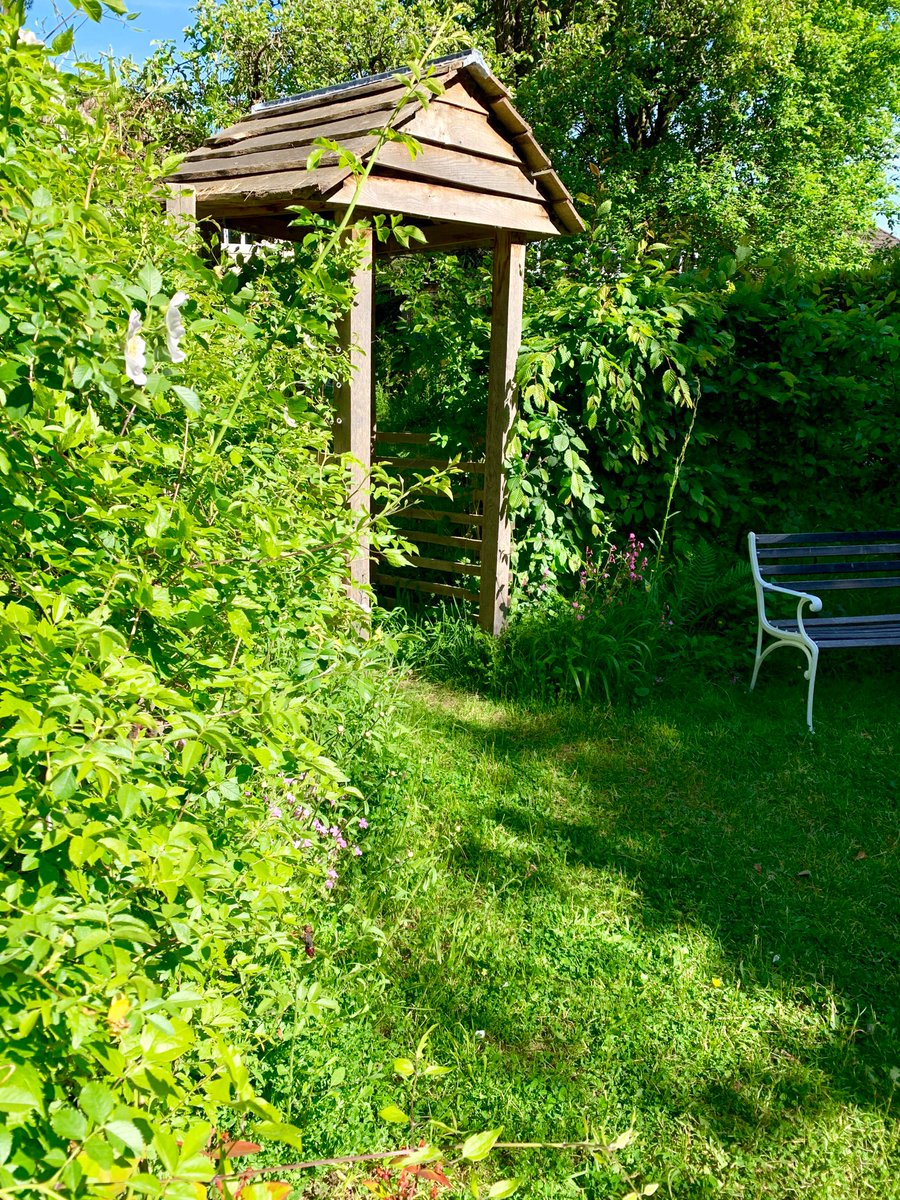 pinescorner's tweet photo. Hello #gardenshour! Anyone else #rewilding a garden with native plants and habitats? Ours has the feel of a natural woodland glade with 50 shades of green and a sprinkle of colour: pics include buttercups, ragged robin, red campion, logpile ferns, &amp; dog rose. ~J #wildlifegarden https://t.co/XFRDNDwva4