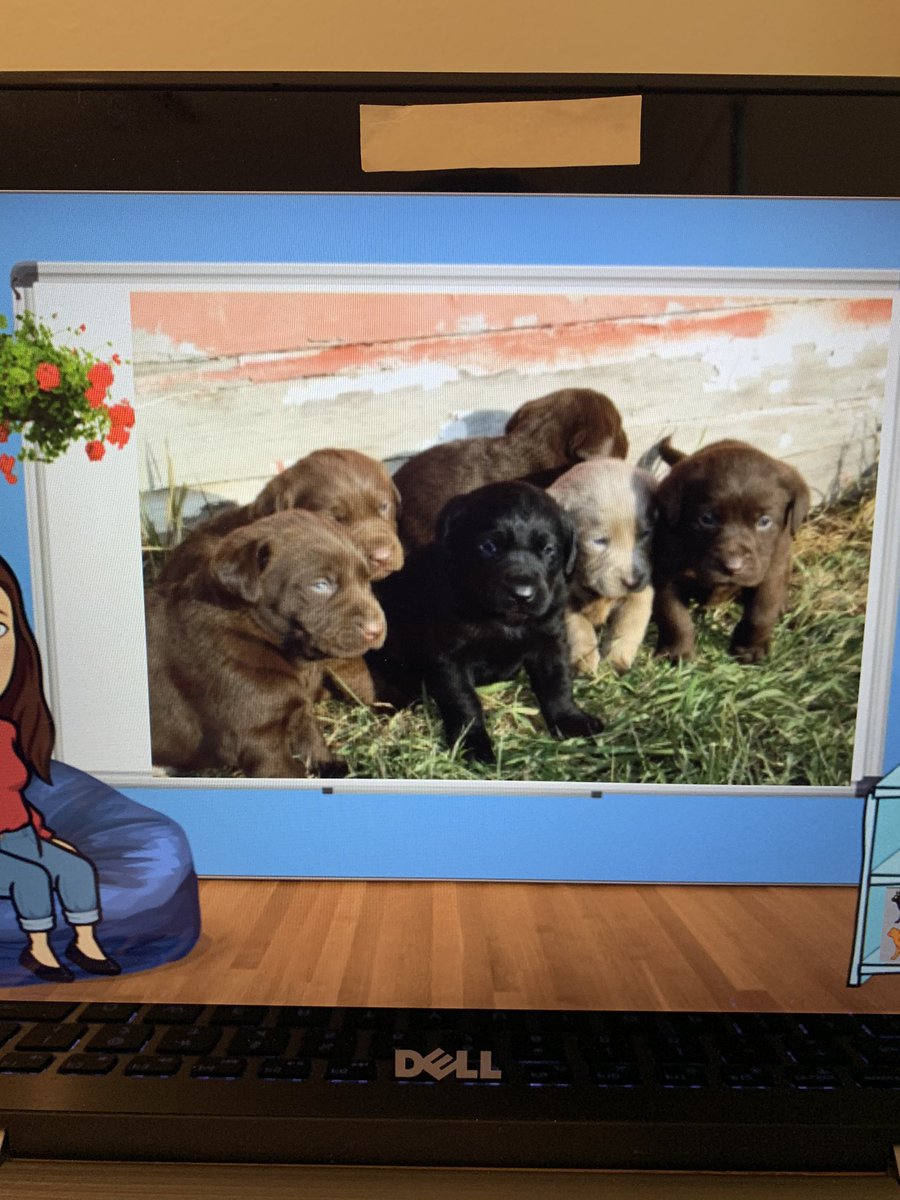 Had a great time with our 3rd graders during science this afternoon, great discussion and questions asked @DESMrsWeaver <a href="/klmcd1976/">Karen McDermitt</a> #virtualclassroom #BitmojiClassroom #TogetherWeCan