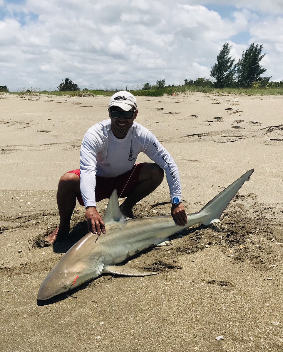 ViewsZone's tweet image. Social distance was broken 😎but after 10 minutes the killer continued to swim with his friends #fishing #boating #beachlife