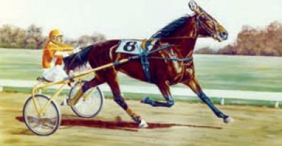 Jaf3Joe's tweet photo. 51 years ago today Fresh Yankee won the Elitlopp in 2:02 over Tony M and Kentucky Fibber for Joe O'Brien. https://t.co/yJTt74h5vw