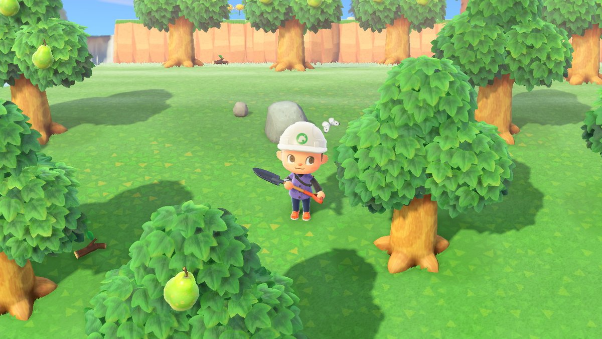 hexleycrossing's tweet photo. #AnimalCrossing #ACNH #NintendoSwitch https://t.co/hDiILMnTbj