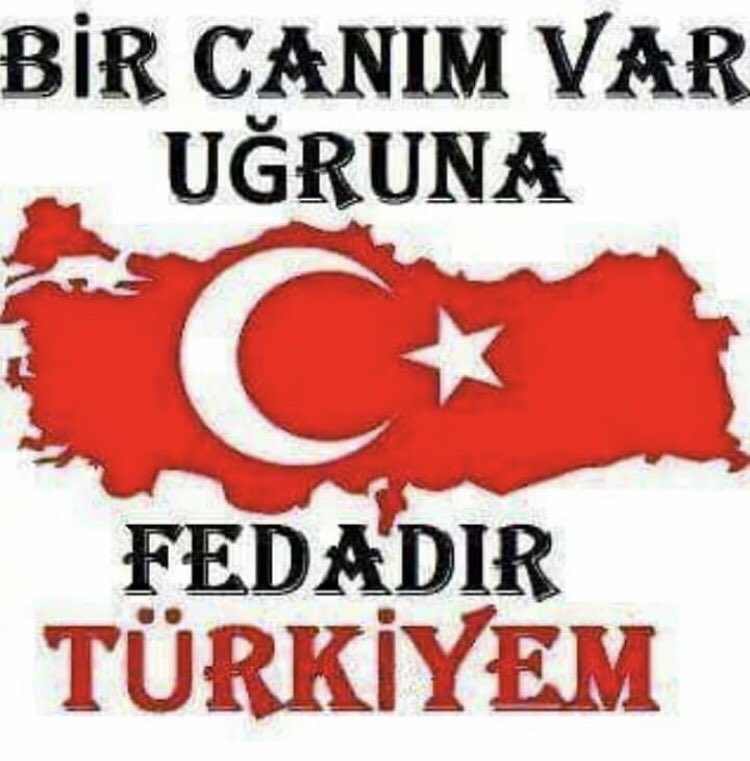 🇹🇷GADDAR FEDAYİ🇹🇷 (@harekatil) on Twitter photo 