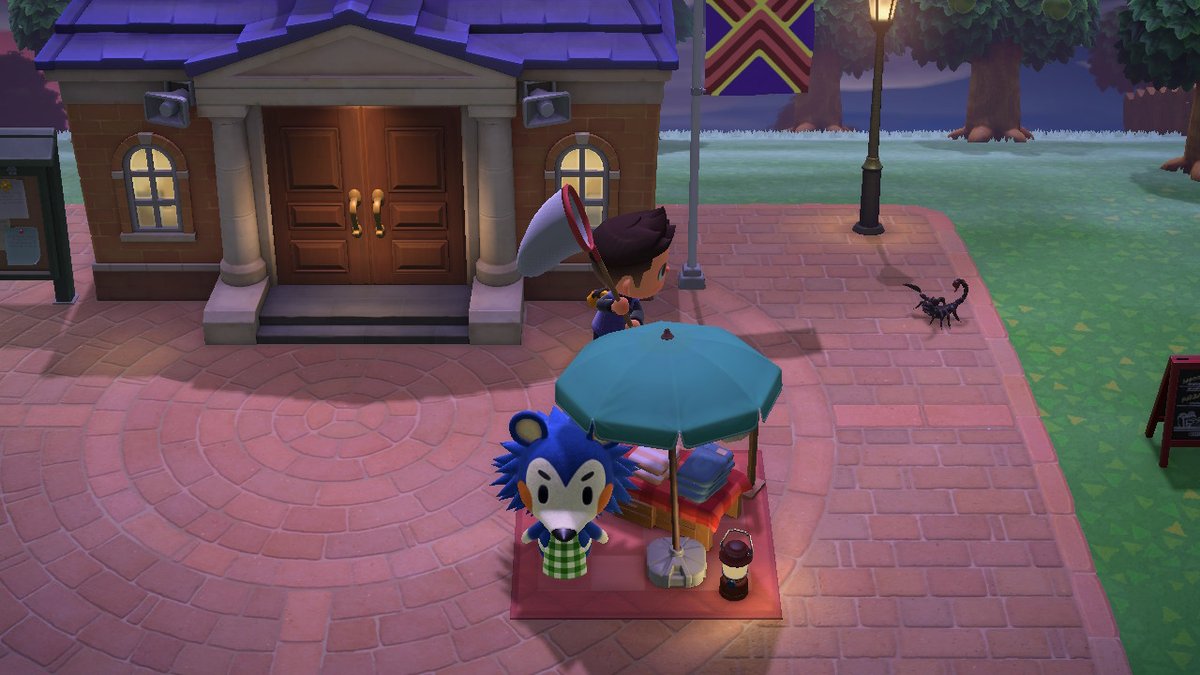 hexleycrossing's tweet photo. #AnimalCrossing #ACNH #NintendoSwitch https://t.co/WydNl1METn