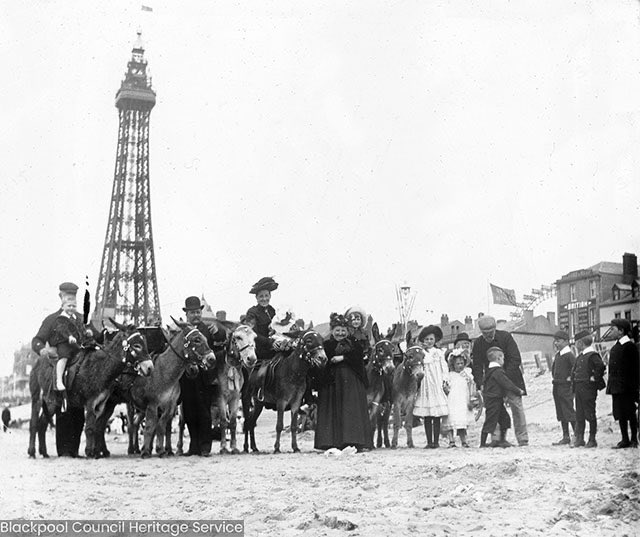 Did you know donkey rides began on Blackpool beach around the 1830s? Donkeys were originally working animals for the fishing industry but owners saw the money making potential of charging holidaymakers to ride them. #seasideweek #blackpoolfromhome  <a href="/ShowtownBPL/">Showtown</a>