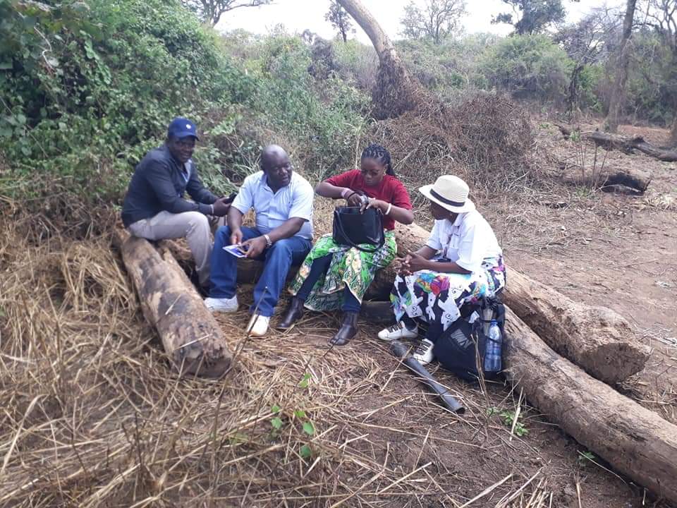 Youth Engagement and the Sustainable Development Goals, presents evidence that young people are already contributing towards achieving the Sustainable Development Goals (SDGs).@SAYoF_SADC <a href="/sustainable/">Sustainable Cinema</a> development