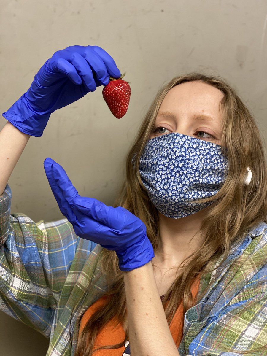 🍓Have you ever tasted 𝓵𝓸𝓬𝓪𝓵 𝓼𝓽𝓻𝓪𝔀𝓫𝓮𝓻𝓻𝓲𝓮𝓼?! Try one and you won’t be able to stop! Riddleton, TN strawberries are here!🍓
#strawberries #local #yum #delicious #produceplace #sylvanpark #nashville