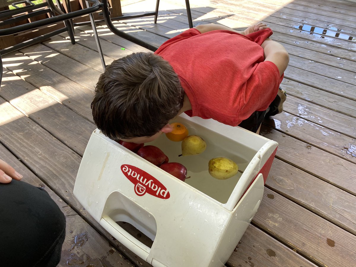 Anne Bice (@anne__bice) on Twitter photo Homeschooling at its finest. Teaching the boys what “bobbin’ for apples” means. <a href="/ruggedbronze/">Robert Bice</a> <a href="/ModelHighDevils/">Model High School</a> <a href="/MESBlueDevils/">Model Elementary School</a> Homeschooling at its finest. Teaching the boys what “bobbin’ for apples” means. <a href="/ruggedbronze/">Robert Bice</a> <a href="/ModelHighDevils/">Model High School</a> <a href="/MESBlueDevils/">Model Elementary School</a>