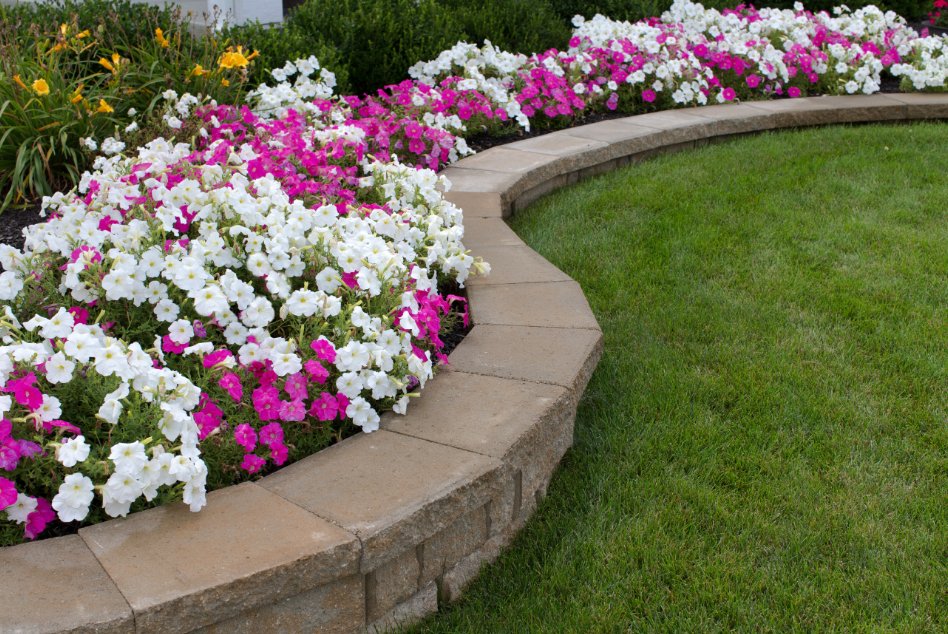 homesHQ's tweet photo. Landscaping doesn't just increase the curb appeal of your home, it creates an inviting outdoor space to share with family and friends. Here's how to do it without breaking the bank. https://t.co/rQZY96P3yR https://t.co/gR51QSRBej