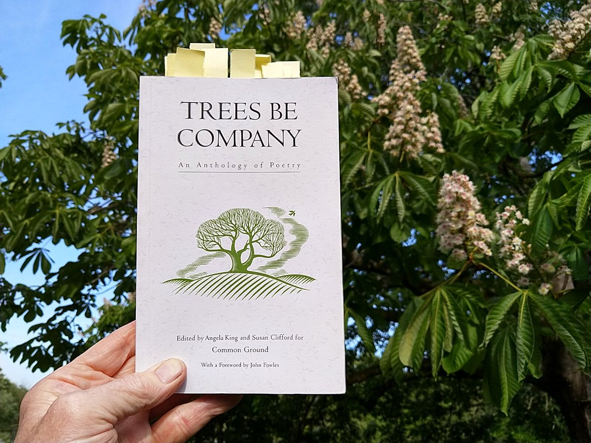 This tree 'Book of the Day' inspired the name of #Dorchester's first #UrbanTreeFestival- 'Trees be Company'. This anthology of poems was compiled by @CommonGroundLab in 2001, and celebrates our long and deep culture relationship with trees and woods.