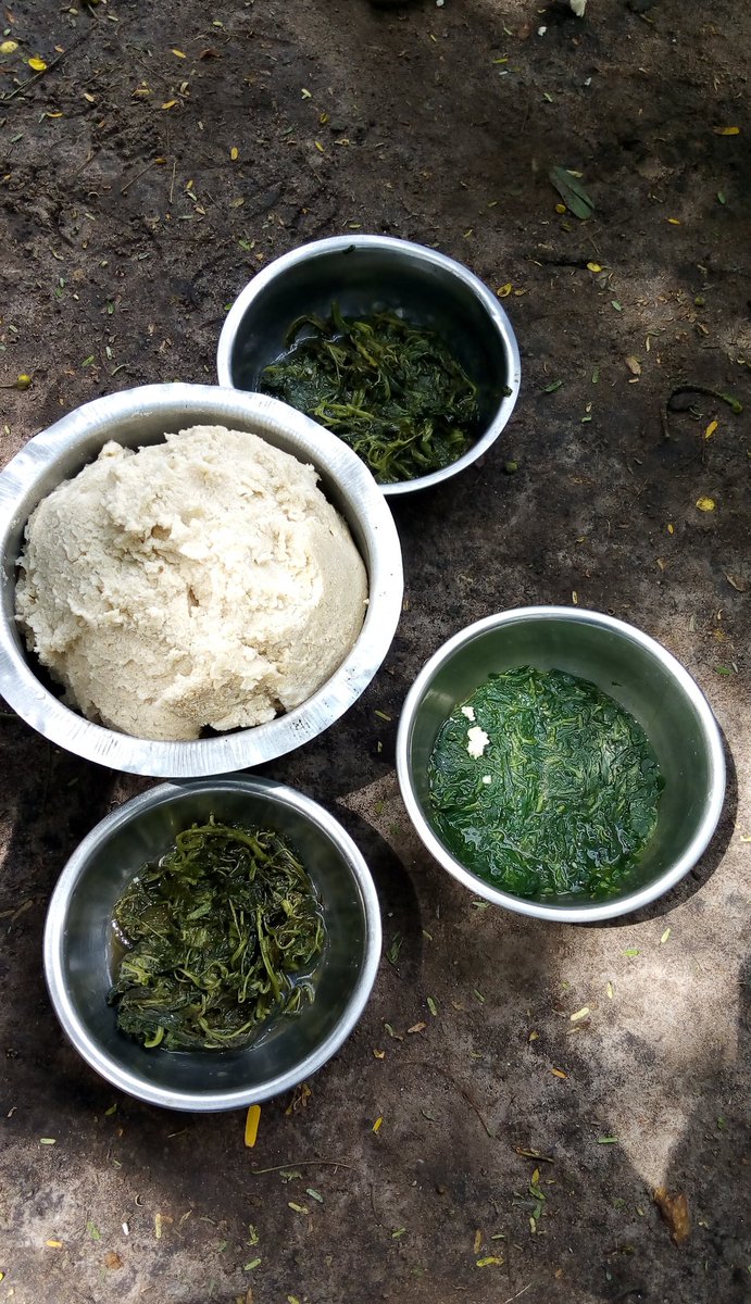 shebdunga's tweet image. Kwani mupo wapi chakula kitapoa mjue 😋@kalage_Jr @phd_manarah 
@Johnie_ze_Best