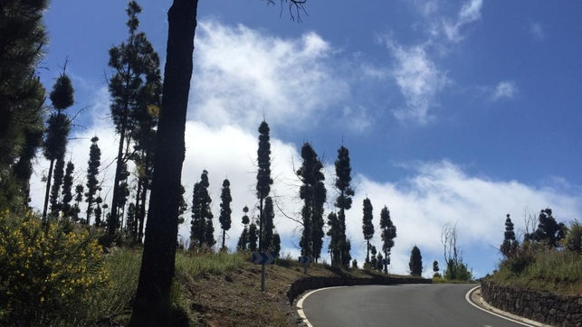 Canarias Ahora tweet media