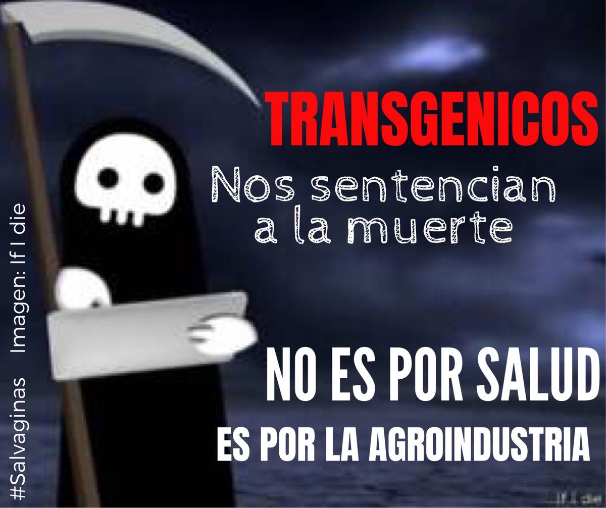 Salvaginass's tweet image. #NoTransgenicosEnBolivia @PatriciaBraez1 @GenderCC @izquierdadiario @WEDO_worldwide @WECAN_INTL @Miriamjemio @muyuspafun @angelcareaga @ChaskiClandstin @WECF_INT @CambioClimaBo @MiguelMirandaBo @Alejand19926130 @alexvillca @elenaap1967 @OsCampanini @monicanovillo @CeciRequena