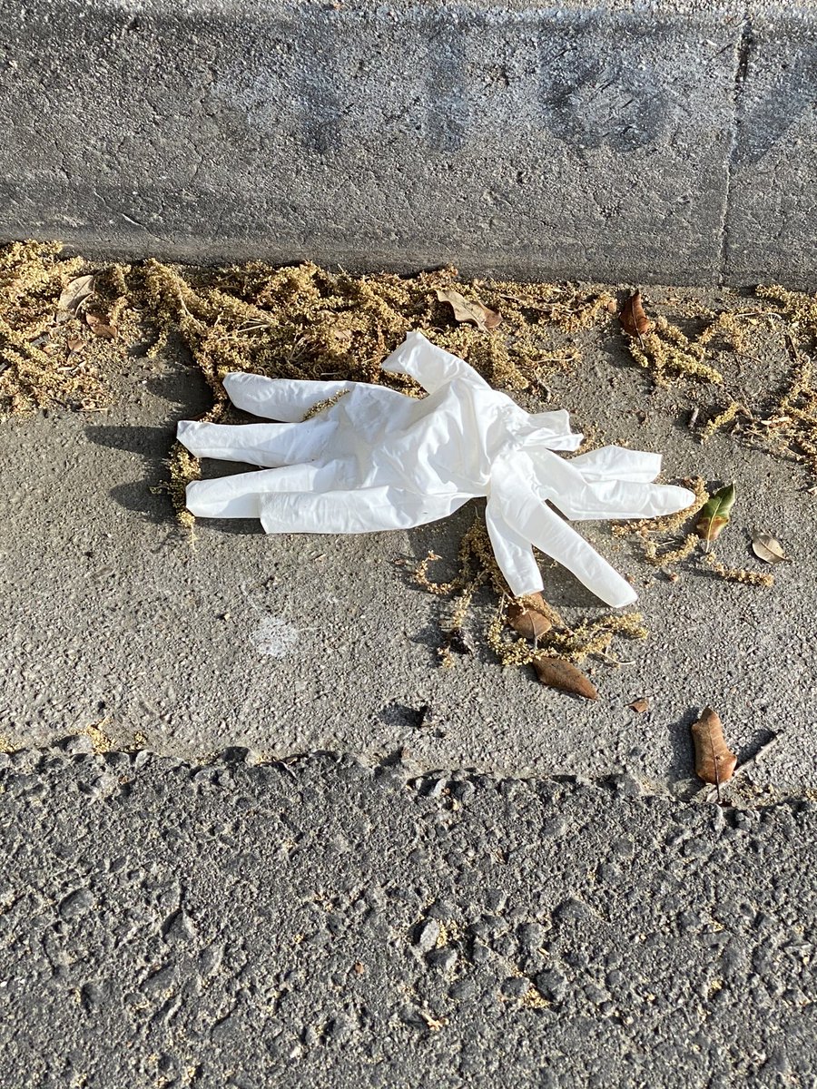 deadbananas's tweet photo. The new discarded banana peel. Get used to this. https://t.co/BNRNgBMn6Q