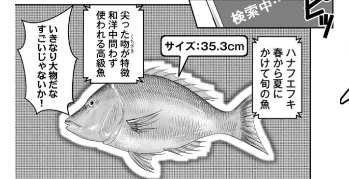 この誤植には気付かなかった……ハマフエフキで正解です!
報告ありがたいです 
修正してもらいます! 