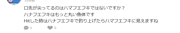 この誤植には気付かなかった……ハマフエフキで正解です!
報告ありがたいです 
修正してもらいます! 