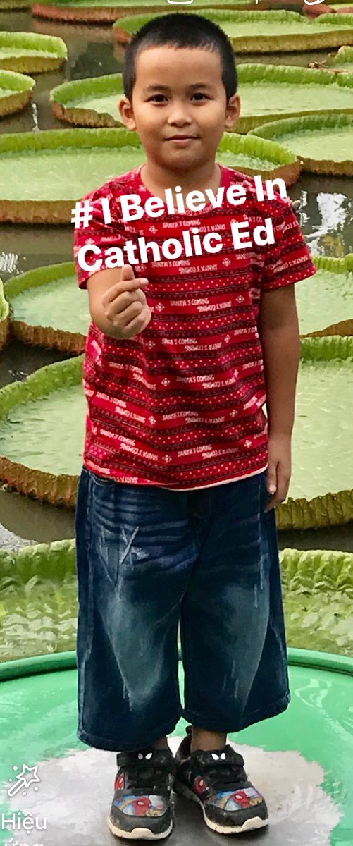 #IBelieveinCatholicEd
<a href="/STARCatholic/">STAR Catholic</a>