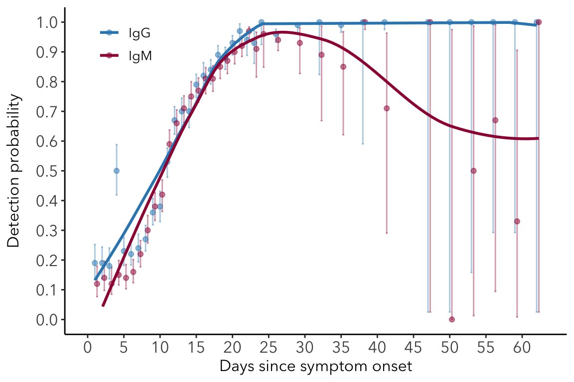 The probability of detecting IgG and IgM antibodies changes quickly, from around 10% at the start of symptoms, to 98-100% by day 22. IgG then remains present for at least 60 days (max. day in dataset), while some individuals start to lose IgM (60% positive by day 60).