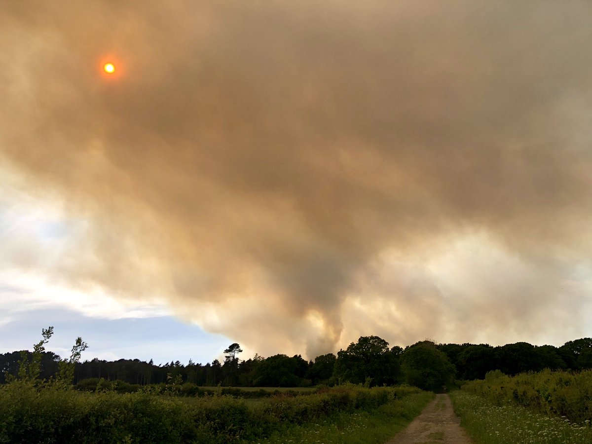A smoke filled sky looming over #Organford due to a large #Wareham fire <a href="/Bournemouthecho/">Bournemouth Echo</a>