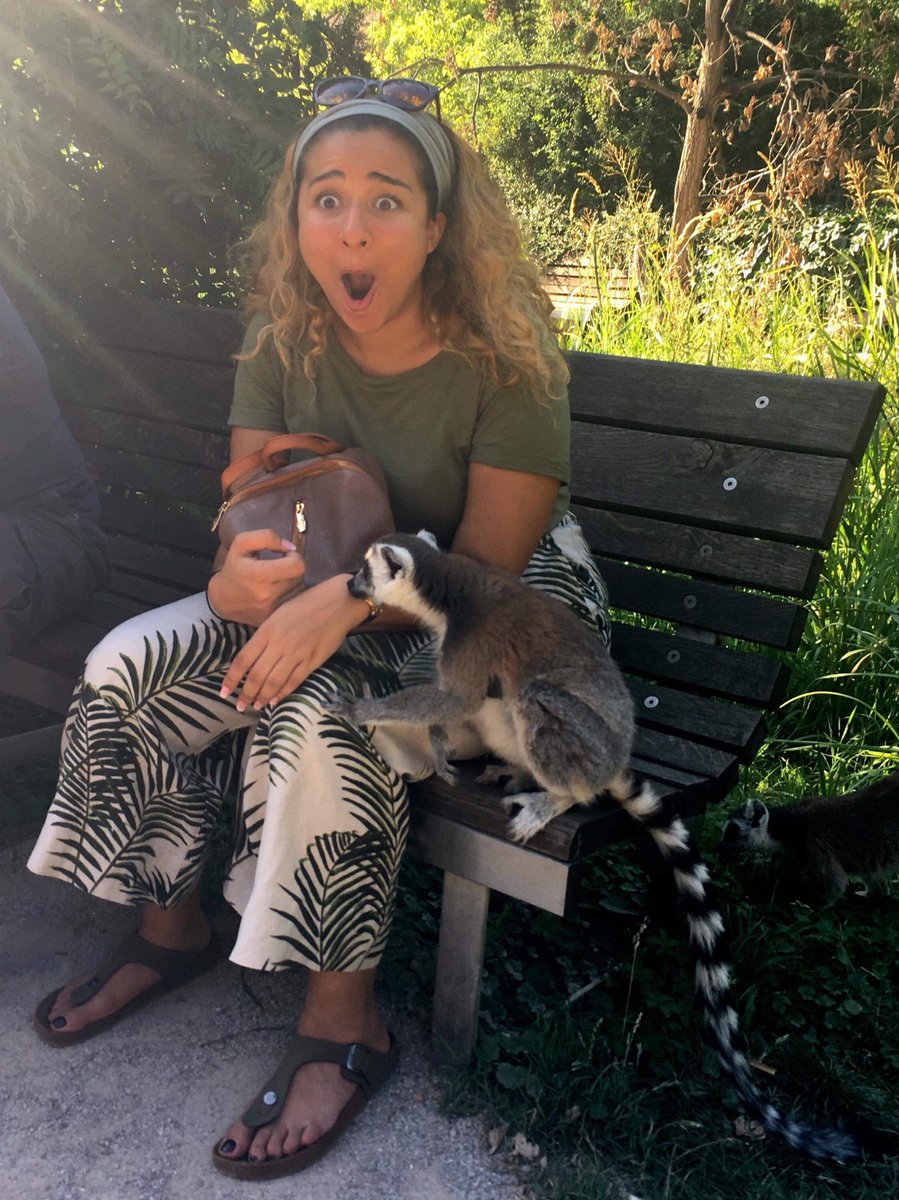  #MammalMonday & to lighten your feed I give you the time a momma lemur inspected me with a ..    *sniff*              *lick*