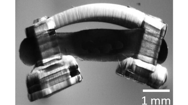 3dheals's tweet image. Biological robot uses rat tissue to ‘walk’ @IMechE #3dprinting #biologicalrobots #biologicaldevices #restorativemedicine #spinalcordtissue #technology buff.ly/2ZdWnNi