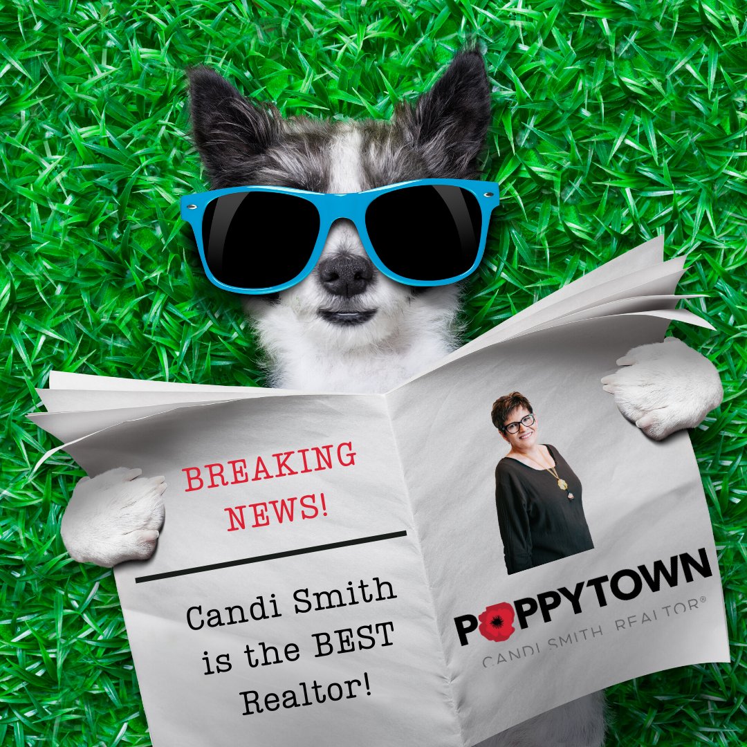 candipoppytown's tweet photo. 😉 #breakingnews #best #realtor https://t.co/9kg9EoXLUa