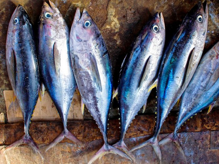 Cibum4's tweet photo. TONNO: RICCO DI OMEGA 3, PREVIENE LE MALATTIE DEL CUORE

È buono e aiuta la tua salute. Aiuta a prevenire la malattie cardiovascolari e ridurre il colesterolo cattivo. Scopri come. https://t.co/Fi7DbhFXhP…/ #tonno #tonnorosso #tonnoinscatola #omega3 #oleico #polifenoli #cibum https://t.co/eHc3H3VFcA