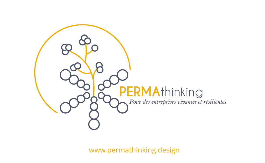 Silbo lance le #permathinking, une méthode d’accompagnement des équipes, des projets d’#innovation et des démarches de #transition : la rencontre du design thinking et de la #Permaculture pour renforcer la #resilience des organisations ! permathinking.design