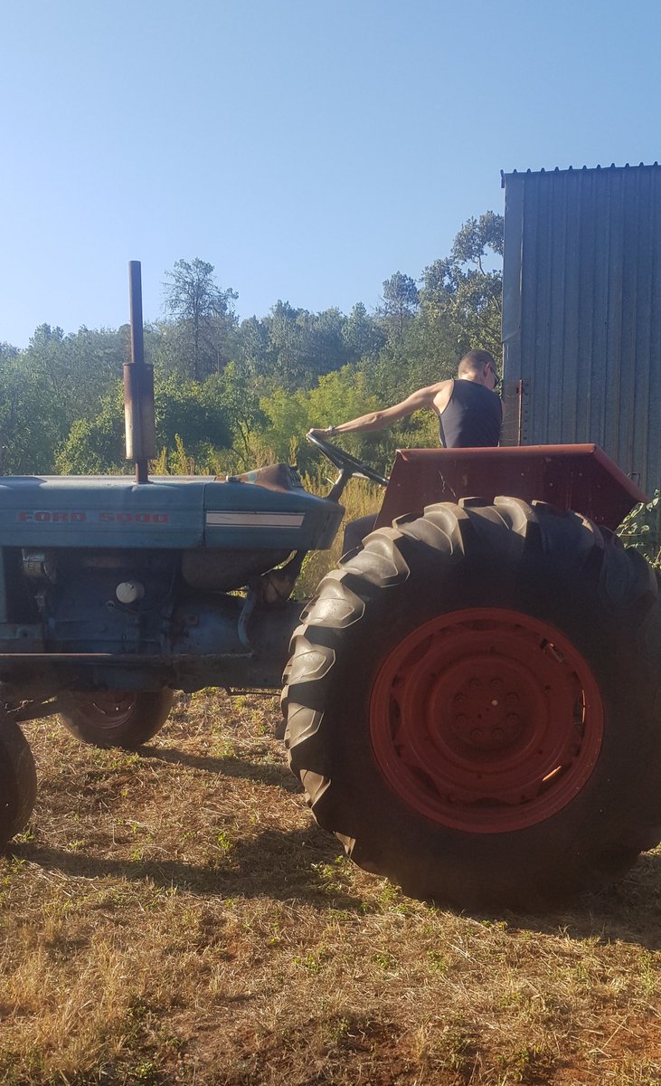 It's a hard farm life, freestyle gym 😅🐴🐊❤🇿🇦