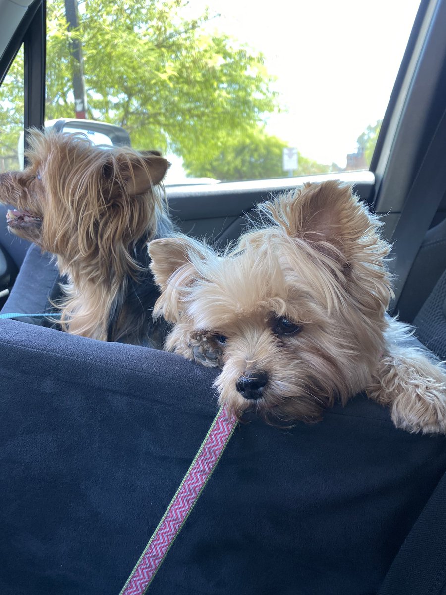 Someone doesn’t like sharing her car seat😂