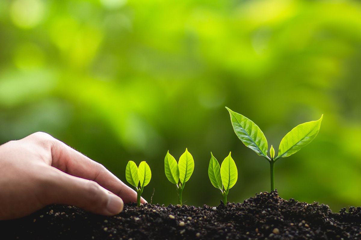 ParksforClark's tweet photo. Sunny yesterday, rain today. Yep, it's springtime in the PNW—a time for noticing all that's new and growing. We've been cultivating our own special seedling, and we're almost ready for a big reveal! Stay tuned for our announcement. #VancouverWA #UnplugPlayExplore #ParksforClark https://t.co/Cr3RC4fdvB